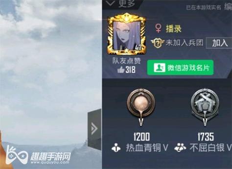 和平精英《哔哩哔哩》外挂